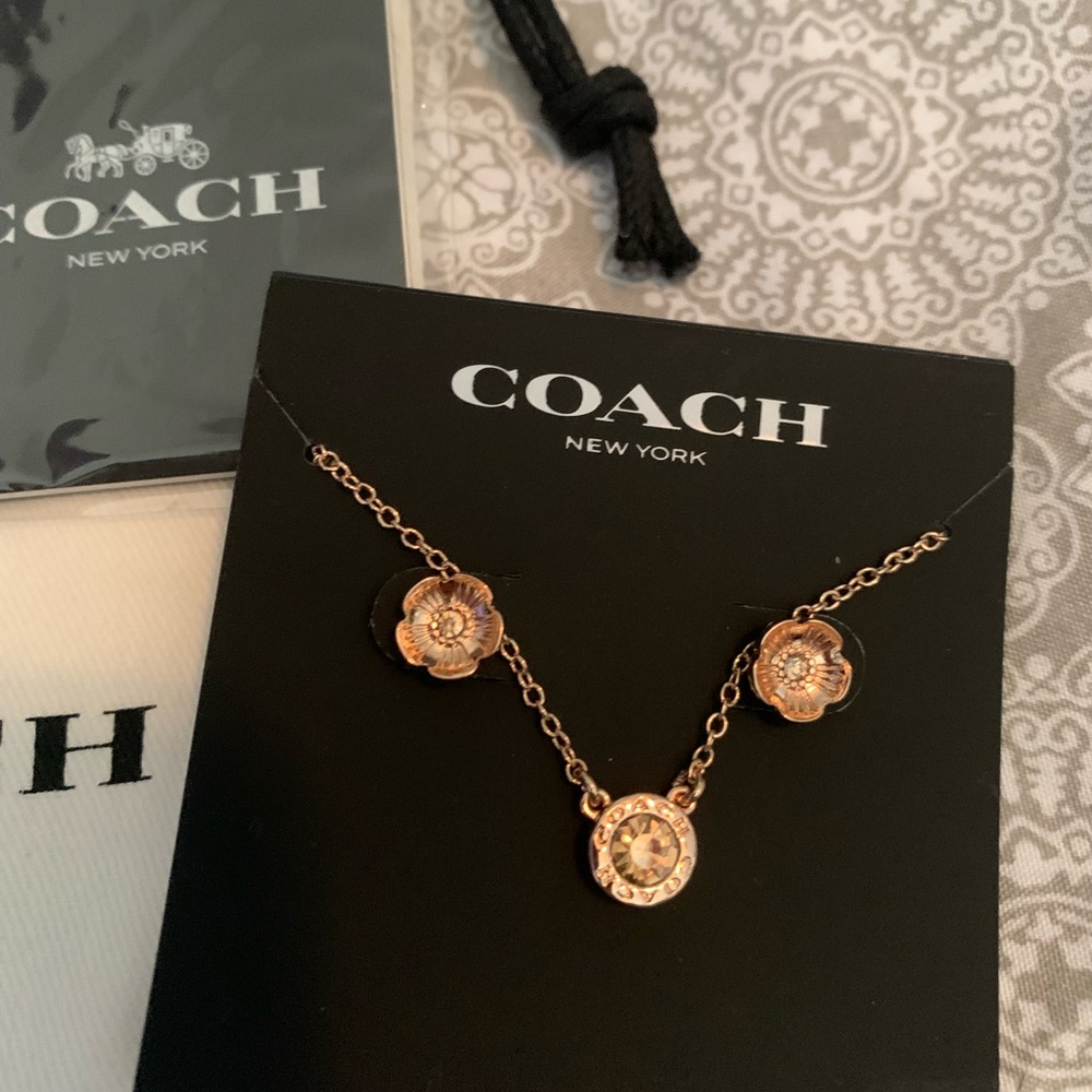 Coach Rose Gold Necklace & Earrings Set